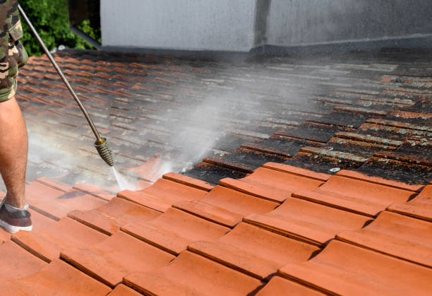 Best Roof Power Washing Services  in Coto De Za, CA