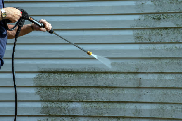 Best Residential Pressure Washing Services  in Coto De Za, CA